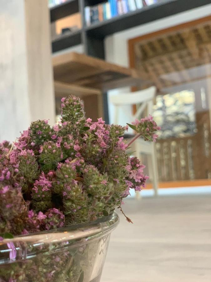 Вилла Casa Thymus Совежа Экстерьер фото