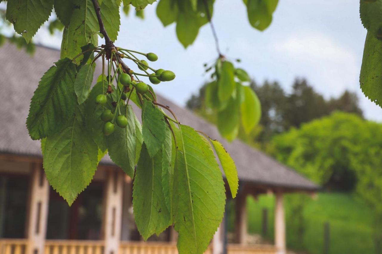 Вилла Casa Thymus Совежа Экстерьер фото