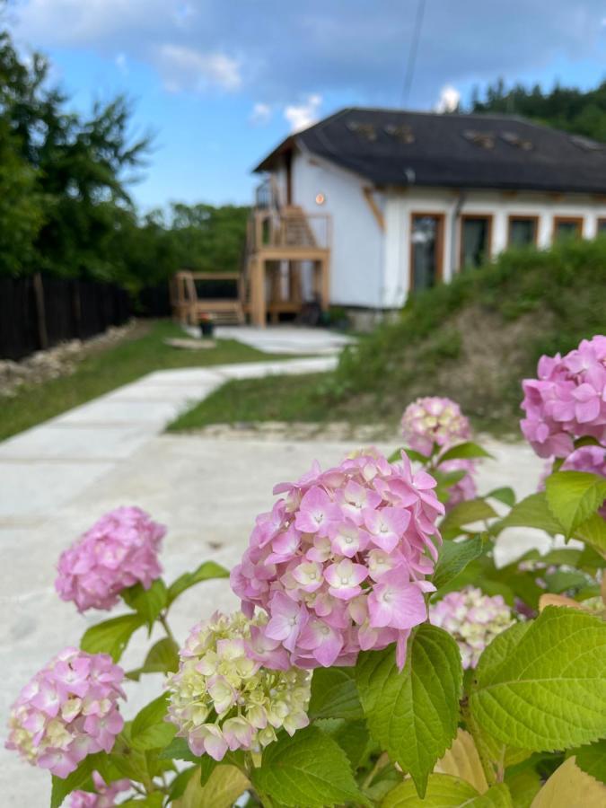 Вилла Casa Thymus Совежа Экстерьер фото